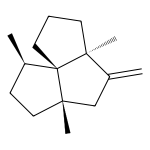 Structure of pethybrene