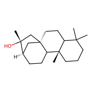 Structure of phyllocladanol (=kauran-16alpha-ol)