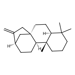 Structure of phyllocladene