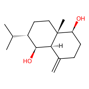 Structure of platambin