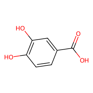 Structure of protocatechuic acid