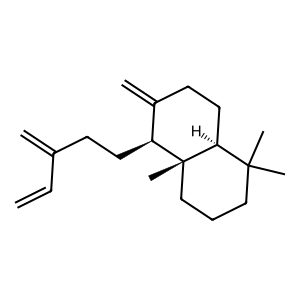 Structure of sclarene