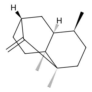 Structure of seychellene