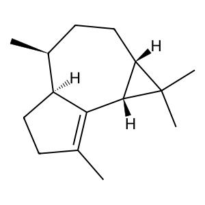 Structure of sigma-gurjunene