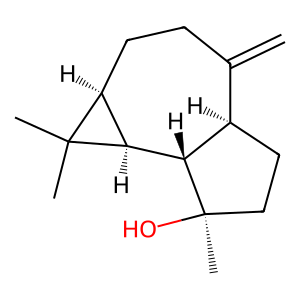 Structure of spathunelol