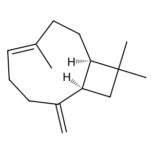 Structure of t-caryophyllene