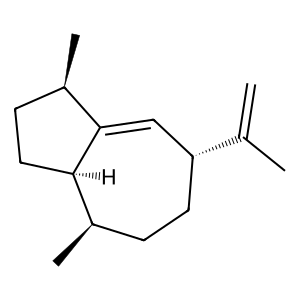 Structure of tau-gurjunene