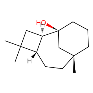 Structure of terpinen-4-ol + beta-caryophyllene