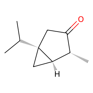 Structure of thujone