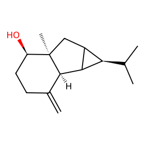 Structure of torilenol