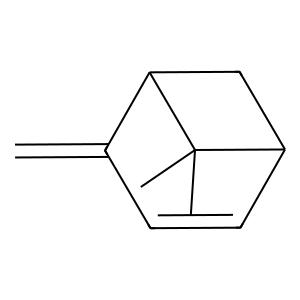 Structure of verbenene