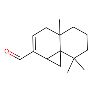 Structure of widdrenal