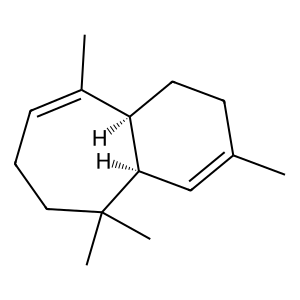 Structure of yhirnachalene