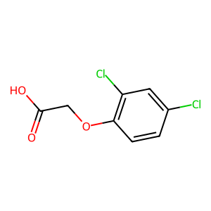 Structure of ~a-amorfeno