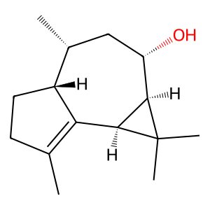 Structure of ~a-gurgujeno