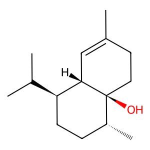 Structure of 1, 10-epi-cubenol