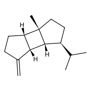 Structure of 1,5-di-epi-beta-bourbonene