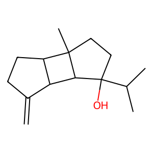 Structure of 1-endo-bourbanonol