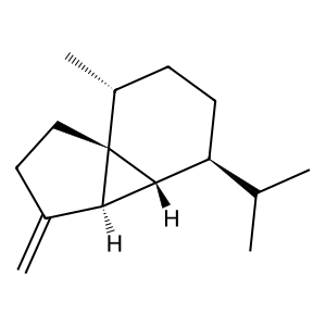 Structure of 1-epi-cubebene