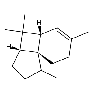 Structure of 10-epi-italicene