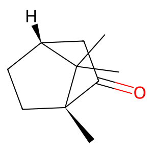 Structure of (+)-2-bornanone