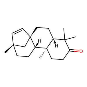 Structure of 15-beyerene