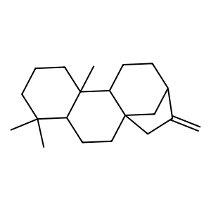 Structure of 16-kaurene