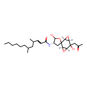 Structure of 2-decanone isomer