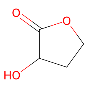 Structure of 2-hydroxy-gamma-butyrolactone