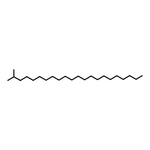 Structure of 2-methyldocosane