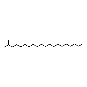 Structure of 2-methyleicosane