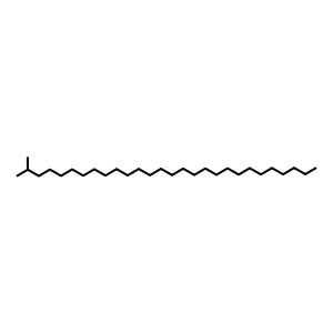 Structure of 2-methyloctacosane