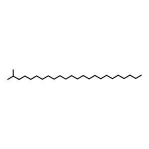 Structure of 2-methyltetracosane