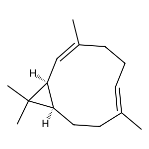 Structure of (+)-lepidozene