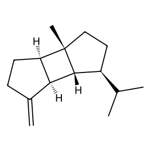 Structure of (- )-beta-bourbonene