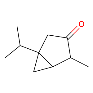 Structure of (e)-thujone