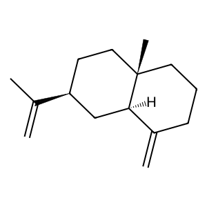 Structure of (-)-beta-selinene